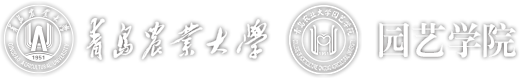 BV伟德